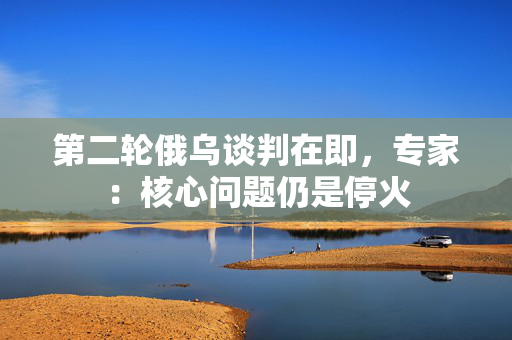第二轮俄乌谈判在即，专家：核心问题仍是停火