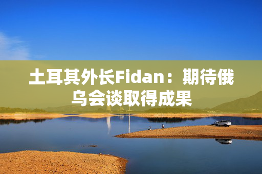 土耳其外长Fidan：期待俄乌会谈取得成果