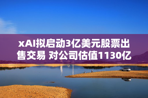xAI拟启动3亿美元股票出售交易 对公司估值1130亿美元