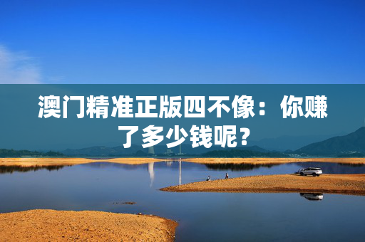 澳门精准正版四不像：你赚了多少钱呢？