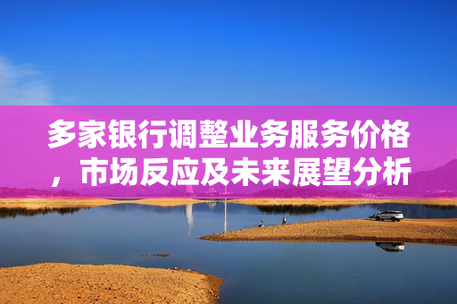多家银行调整业务服务价格，市场反应及未来展望分析