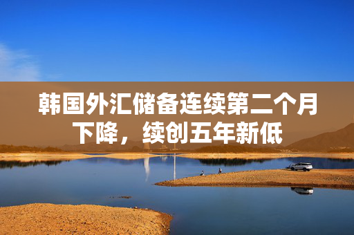 韩国外汇储备连续第二个月下降，续创五年新低