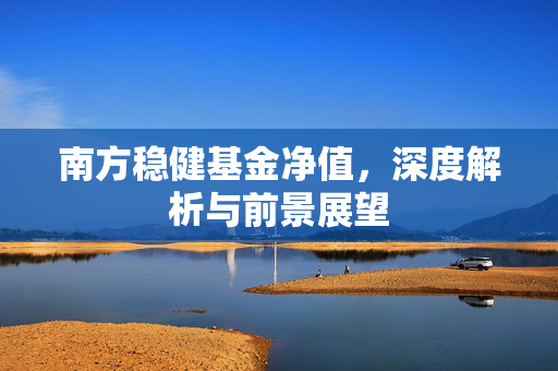 南方稳健基金净值，深度解析与前景展望