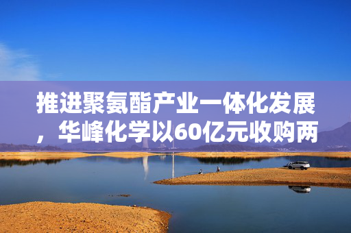 推进聚氨酯产业一体化发展，华峰化学以60亿元收购两家公司的战略布局