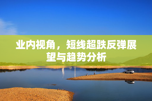 业内视角，短线超跌反弹展望与趋势分析