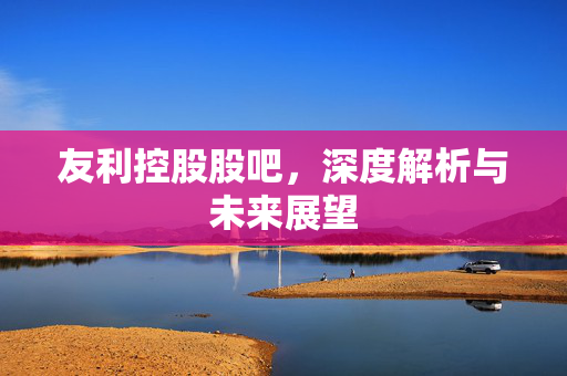友利控股股吧，深度解析与未来展望