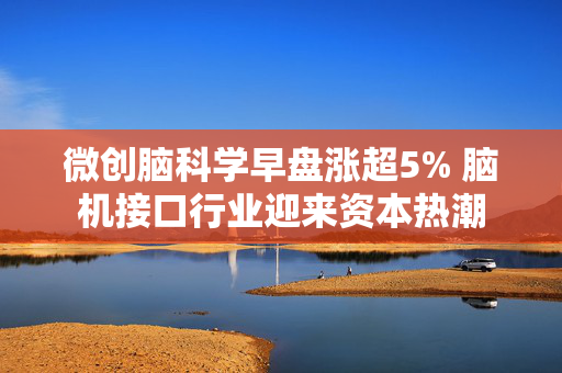 微创脑科学早盘涨超5% 脑机接口行业迎来资本热潮