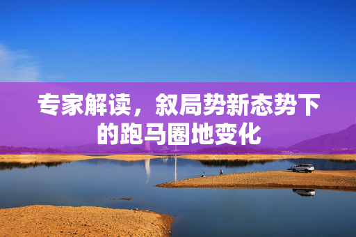 专家解读，叙局势新态势下的跑马圈地变化