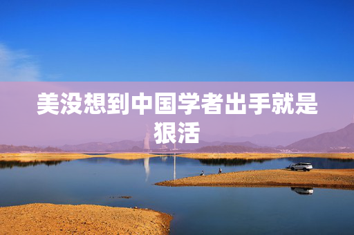 美没想到中国学者出手就是狠活