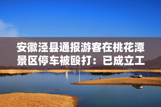 安徽泾县通报游客在桃花潭景区停车被殴打：已成立工作专班全面调查