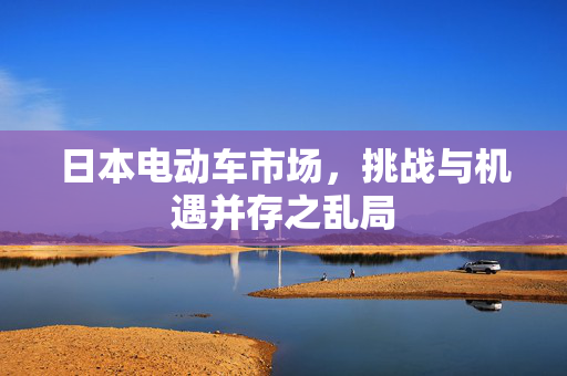 日本电动车市场，挑战与机遇并存之乱局
