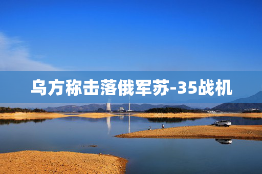 乌方称击落俄军苏-35战机