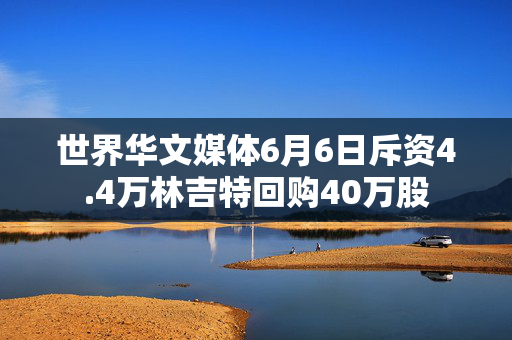 世界华文媒体6月6日斥资4.4万林吉特回购40万股
