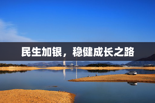 民生加银，稳健成长之路