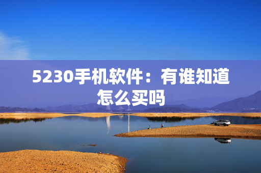5230手机软件：有谁知道怎么买吗