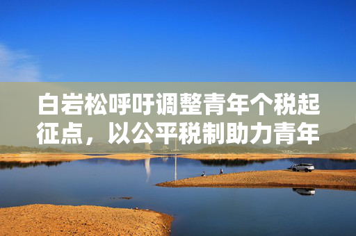 白岩松呼吁调整青年个税起征点，以公平税制助力青年发展