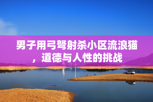 男子用弓弩射杀小区流浪猫，道德与人性的挑战