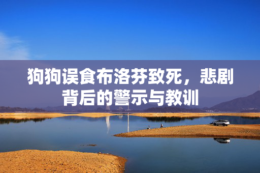 狗狗误食布洛芬致死，悲剧背后的警示与教训