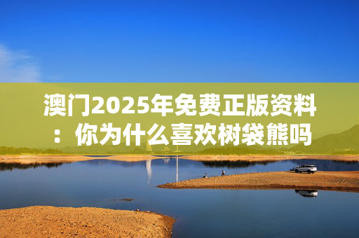 澳门2025年免费正版资料：你为什么喜欢树袋熊吗