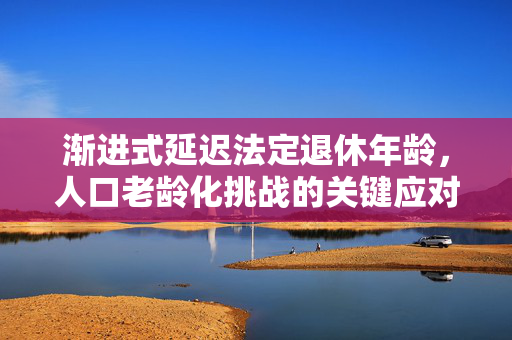 渐进式延迟法定退休年龄，人口老龄化挑战的关键应对策略
