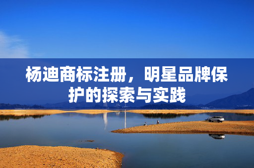 杨迪商标注册，明星品牌保护的探索与实践