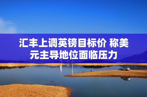 汇丰上调英镑目标价 称美元主导地位面临压力