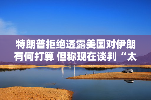 特朗普拒绝透露美国对伊朗有何打算 但称现在谈判“太晚了”