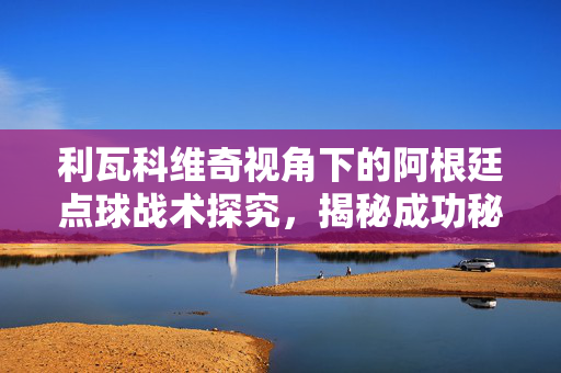 利瓦科维奇视角下的阿根廷点球战术探究，揭秘成功秘诀