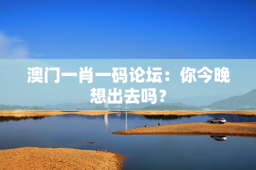 澳门一肖一码论坛：你今晚想出去吗？