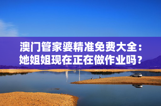 澳门管家婆精准免费大全：她姐姐现在正在做作业吗？