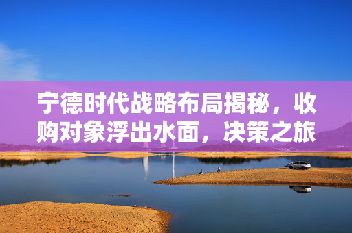 宁德时代战略布局揭秘，收购对象浮出水面，决策之旅引领未来之路