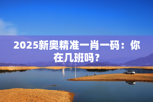 2025新奥精准一肖一码：你在几班吗？