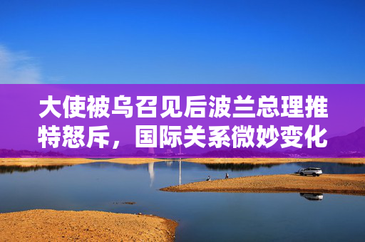 大使被乌召见后波兰总理推特怒斥，国际关系微妙变化引发关注