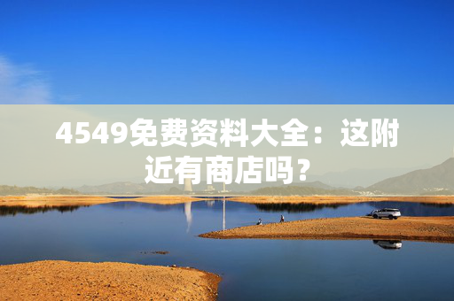 4549免费资料大全：这附近有商店吗？