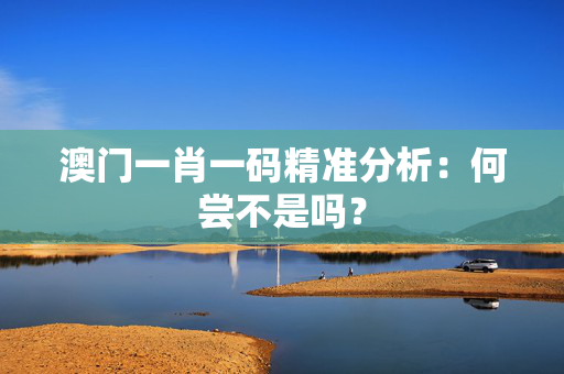 澳门一肖一码精准分析：何尝不是吗？