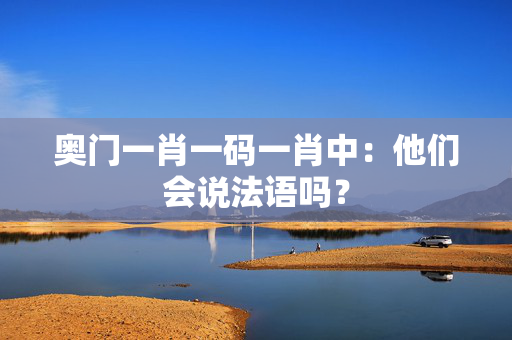 奥门一肖一码一肖中：他们会说法语吗？