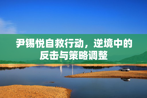尹锡悦自救行动，逆境中的反击与策略调整