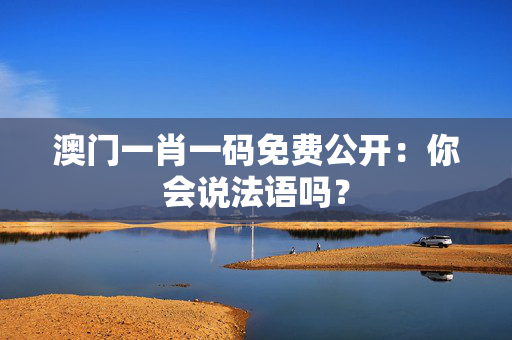 澳门一肖一码免费公开：你会说法语吗？