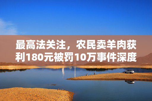 最高法关注，农民卖羊肉获利180元被罚10万事件深度解析