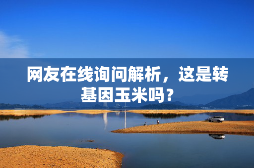 网友在线询问解析，这是转基因玉米吗？