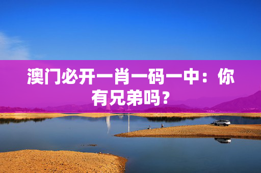澳门必开一肖一码一中：你有兄弟吗？