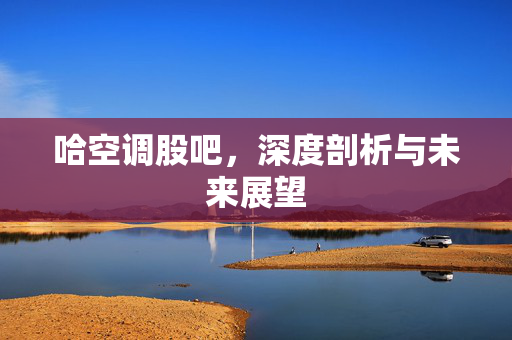 哈空调股吧，深度剖析与未来展望