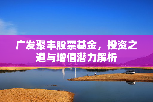 广发聚丰股票基金，投资之道与增值潜力解析
