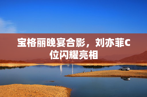 宝格丽晚宴合影，刘亦菲C位闪耀亮相