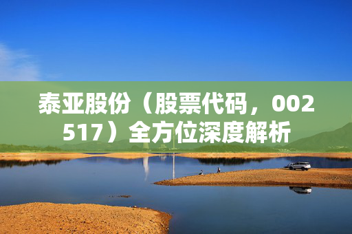 泰亚股份（股票代码，002517）全方位深度解析