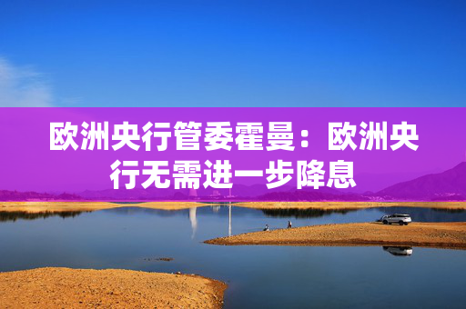 欧洲央行管委霍曼：欧洲央行无需进一步降息