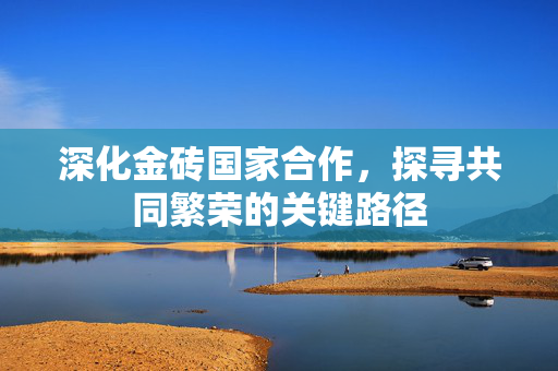 深化金砖国家合作，探寻共同繁荣的关键路径