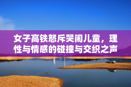 女子高铁怒斥哭闹儿童，理性与情感的碰撞与交织之声
