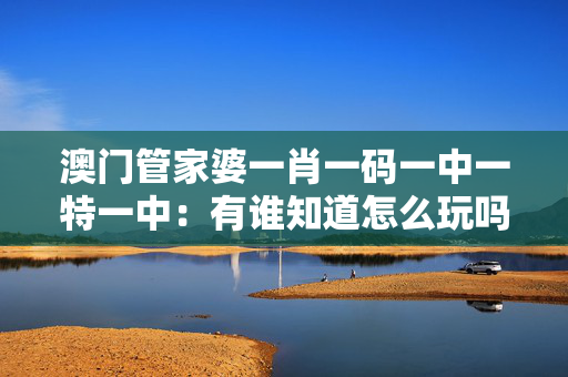 澳门管家婆一肖一码一中一特一中：有谁知道怎么玩吗