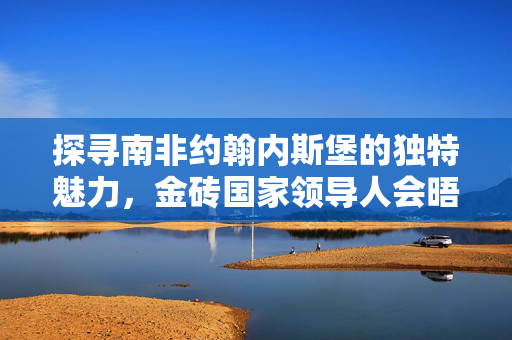 探寻南非约翰内斯堡的独特魅力，金砖国家领导人会晤举办地探访纪实